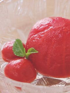 【トマト大量消費】トマトのレモン煮-レシピのメイン写真