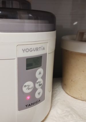 大豆味噌-レシピのメイン写真
