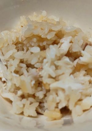 祝い鯛で鯛めし-レシピのメイン写真