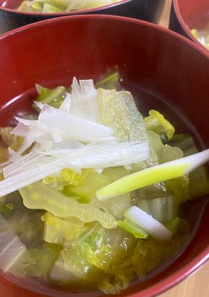 簡単すぎる！白菜味わう中華風スープ-レシピのメイン写真