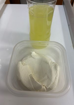 フレッシュチーズ！(牛乳とヨーグルトで)-レシピのメイン写真