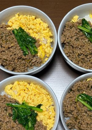味に深みのある三色丼（甘酒使用）-レシピのメイン写真