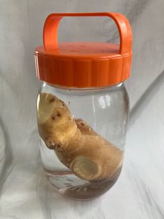 生姜の保存方法✨-レシピのメイン写真
