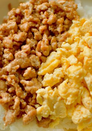 簡単！基本のひき肉そぼろとふわふわ卵の丼-レシピのメイン写真