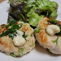 基本からアレンジまで！思わずつくりたくなる「とりひき肉 かさ増し 