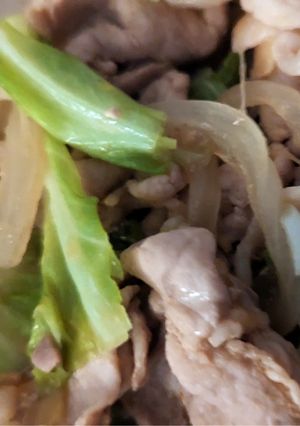 春キャベツと豚肉の生姜炒め-レシピのメイン写真