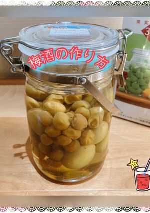 梅酒(梅ドリンク)の作り方 覚書-レシピのメイン写真