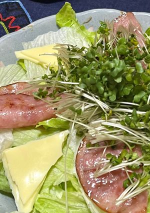盛り付けるだけサラダ-レシピのメイン写真