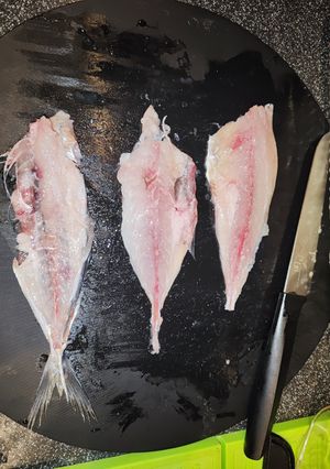 5分で鯵を3枚おろしに-レシピのメイン写真