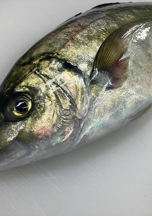 すっごい丁寧！三枚おろし 市場より-レシピのメイン写真