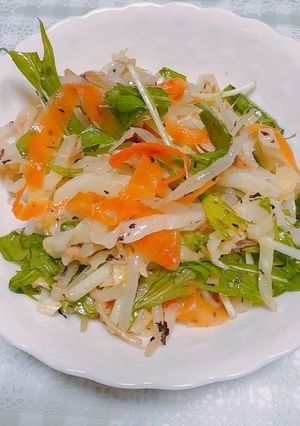 好きな野菜のツナ入り、ゆかりサラダ-レシピのメイン写真