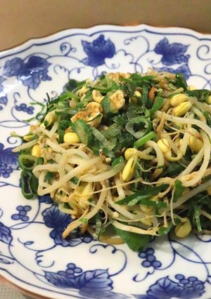豆もやしと長ねぎ（青い部分）と卵の炒め物-レシピのメイン写真