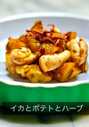 イカとポテトのハーブソース-レシピのメイン写真