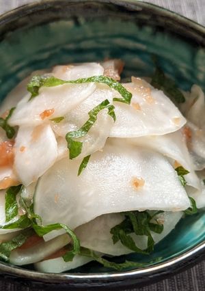 かぶの梅しそあえ-レシピのメイン写真