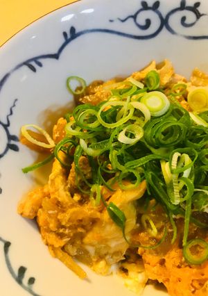 鶏肉と玉ネギのシンプル親子丼-レシピのメイン写真