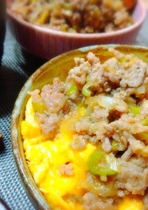 ＊甘じょっぱ肉そぼろ＆とろプルたまご丼＊-レシピのメイン写真