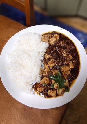 スパイス中毒。麻婆 meets カレー-レシピのメイン写真