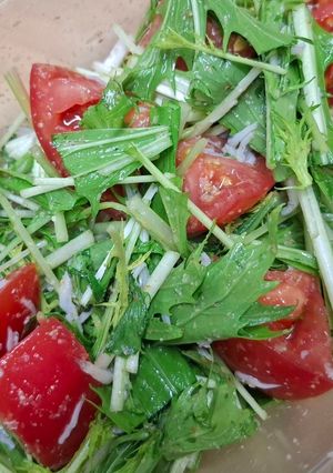 水菜とトマトの和え物-レシピのメイン写真