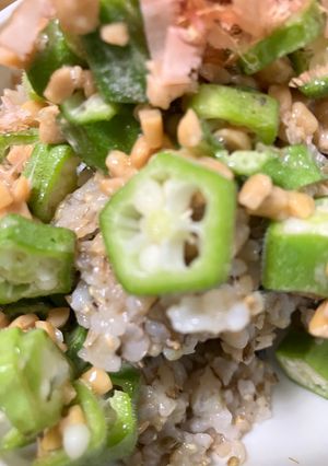 簡単　ひきわり納豆おくら丼-レシピのメイン写真