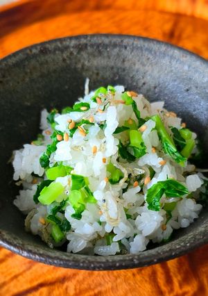 もったいない　大根葉とジャコの混ぜご飯-レシピのメイン写真
