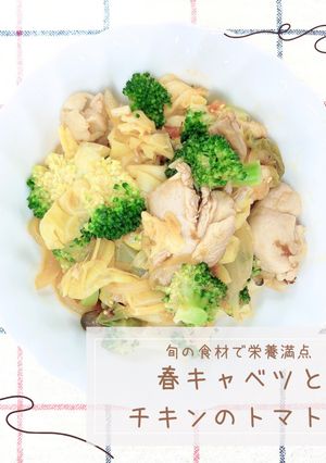 春キャベツとチキンのトマト煮-レシピのメイン写真