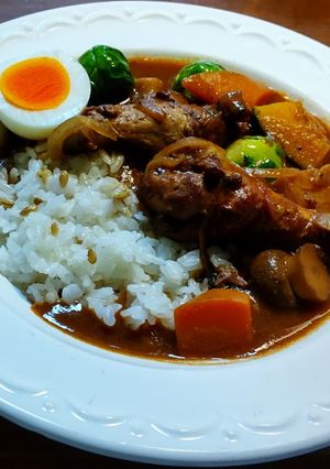 ブラウンルウのカレー　赤ワインと小豆煮汁-レシピのメイン写真