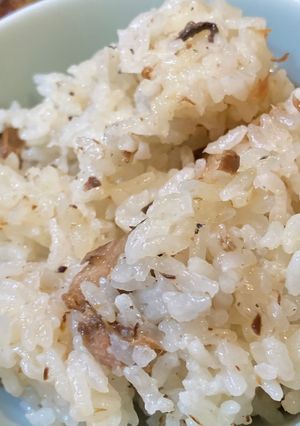 鰹節の炊き込みご飯-レシピのメイン写真