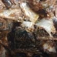 ニシンの煮付け