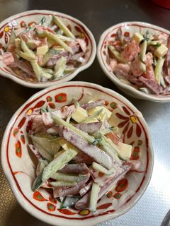 おつまみ⭐︎サラミサラダ-レシピのメイン写真