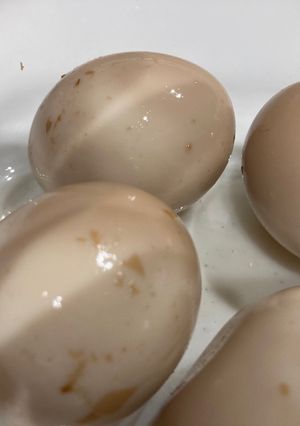味玉(煮卵)-レシピのメイン写真