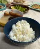 玄米初心者のちょっとだけ玄米入りご飯