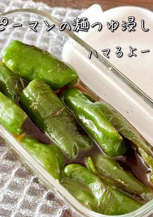 【楽めし】ピーマンの麺つゆ浸し-レシピのメイン写真