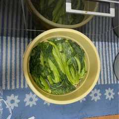 รูปของ 高菜のお漬け物の仕込み【四毒抜き】