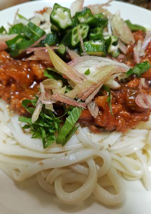 薬味たっぷりジャージャーうどん-レシピのメイン写真