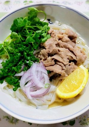 簡単昼食・夏の夕飯!牛肉の冷やしフォー麵-レシピのメイン写真