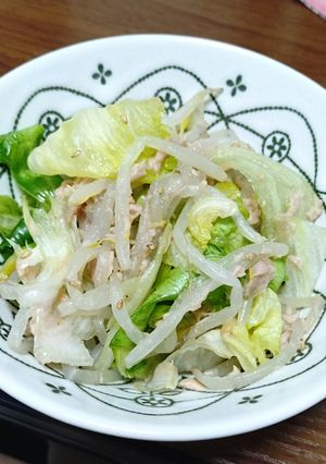 もやしとレタスとツナのサラダ-レシピのメイン写真