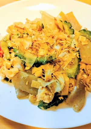 肉メイン材料変更ゴーヤチャンプル-レシピのメイン写真