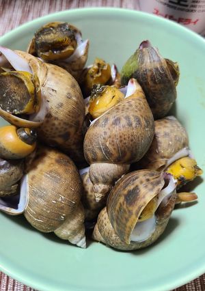 バイ貝のうま煮-レシピのメイン写真