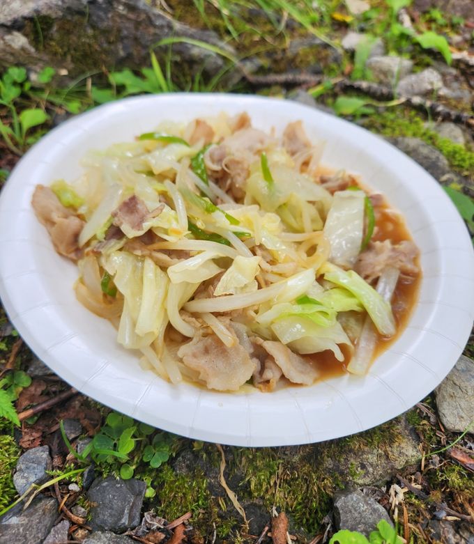【山ご飯】肉野菜炒め-レシピのメイン写真
