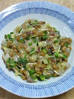 香味野菜たっぷりのイカ納豆-レシピのメイン写真