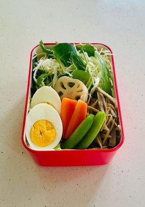 ダイエット中のお弁当🩷-レシピのメイン写真
