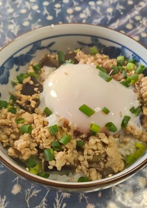 温玉のせ！茄子と鶏ミンチの甘辛そぼろ丼-レシピのメイン写真