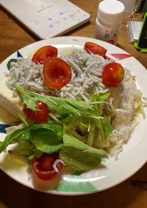 冷奴シラスご飯-レシピのメイン写真