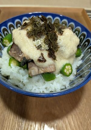 鰹とオクラのとろろ丼-レシピのメイン写真