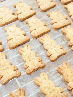 1歳のおやつに♪甘さ控えめきなこクッキー-レシピのメイン写真