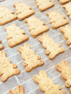 1歳のおやつに♪甘さ控えめきなこクッキー-レシピのメイン写真