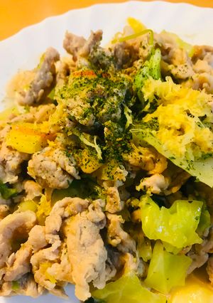 豚こまぎれ肉とキャベツの野菜炒め-レシピのメイン写真
