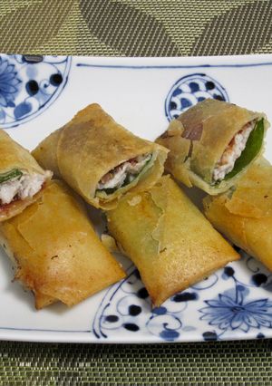 鰺と梅しその春巻き-レシピのメイン写真