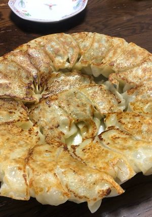 夏キャベツの簡易餃子-レシピのメイン写真