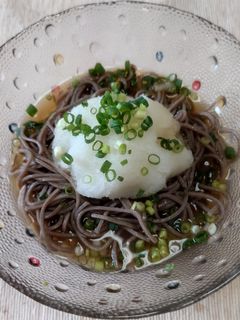 冷やしおろしそば-レシピのメイン写真